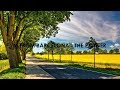 I'm From Barcelona - The Painter