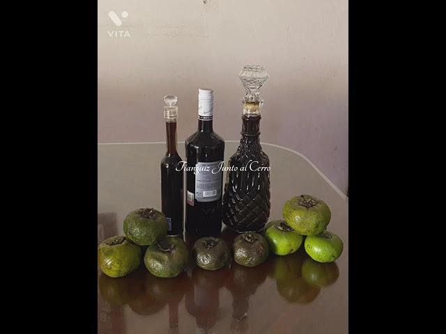 Vídeo relacionado con Caja de regalo para botellas de vino, 33 x 9,5 x 9,5 cm, negro, con asa para licores y champán, caja de regalo plegable con cierre magnético para fiestas, naranja