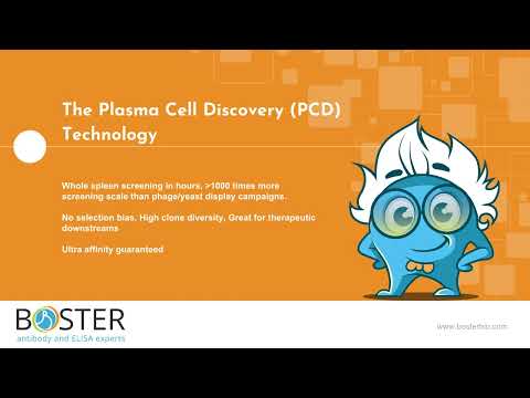 PCD platform overview video thumbnail