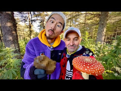 If You Go to Ketama Now… You’ll Find Morocco’s Highest-Quality Stuff!!