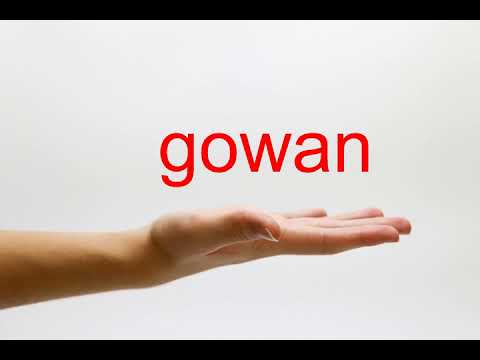 How to Pronounce gowan - American English