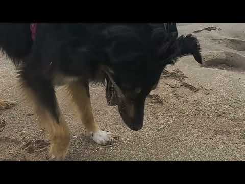 #playa  #sound  #sonidodelmar  #relaxing #VillaFaraz #mardelaspampas #argentina