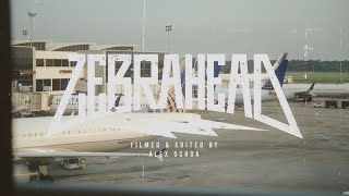 zebrahead - A Long Way Down - Official Music Video
