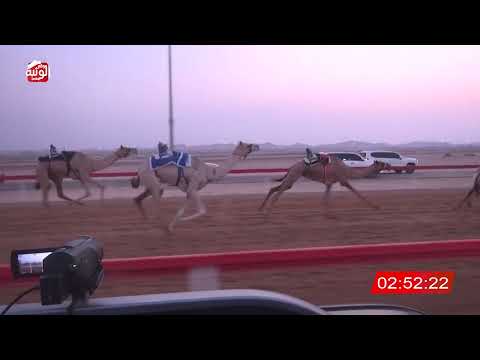  ش 1 (حلف) لـ حمد محمد بن حمود علي الجحافي 6:26:66 ، مهرجان العين 2026/07/10 إيذاع الوقن