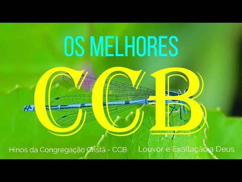 OS MELHORES HINOS CCB - Belos Hinos Para Reflexão e Meditação - LOUVOR E EXALTAÇÃO A DEUS