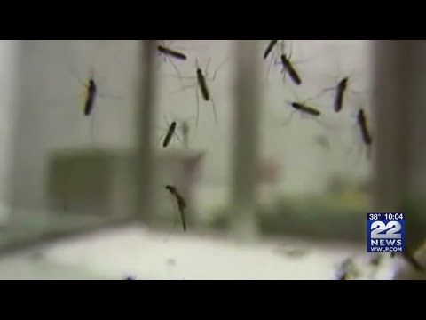 Young girl with EEE virus discharged from hospital