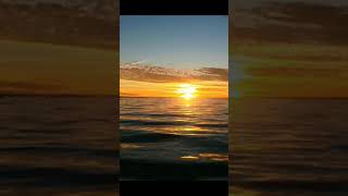 Download lagu Story w.a Sholawat Ya Ashiqol Mustofa mp3