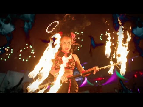 Dub FX "Fire Every Day" (David Starfire Remix) Featuring Phoenix Fire Flow