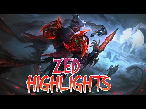 ZED HIGHLIGHTS: IMMORTALY AGREZEDVE OR BORED? FULL AGRO ON RATARINA & 8-MIN TEAM ZEDGMENTS!