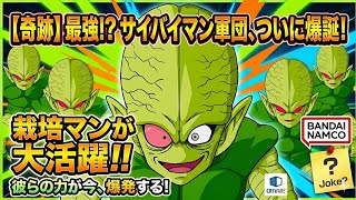 【ドッカンバトル】栽培マンの最強を見ることが出来るように！？！(エイプリルフールネタ)　#栽培マン　#エイプリルフール　#ドッカンバトル　#暴走する戦闘生物　#ドカバト　#Key鍵っ子　