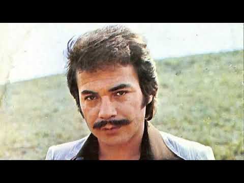 Ben Sevdim de Ne Oldu Orhan Gencebay (Cover)