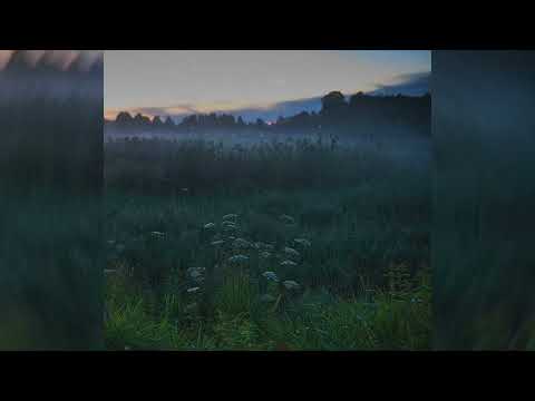 [FREE] "Nobody' Sad Slowdive x SARM x Ethereal Shoegaze Type Beat 2023