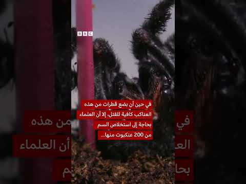 فيديو | كيف يمكن لسموم أخطر الحيوانات في أستراليا أن تكون ذاتها مصدر نجاة العديد من البشر؟