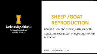 Identifying and Managing Lambing and Kidding Complications