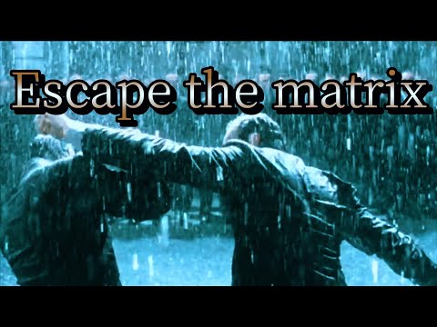 Escape the Matrix Now! Embrace Masculinity