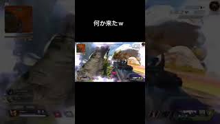 何か後ろから来たんだがｗ　#apex #shorts