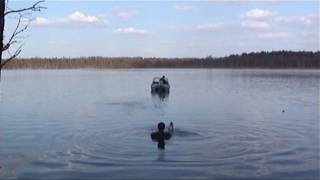 preview picture of video 'Water ski on Krym1 and Honda BF50. HD1080'