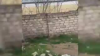 Эхтримальный про