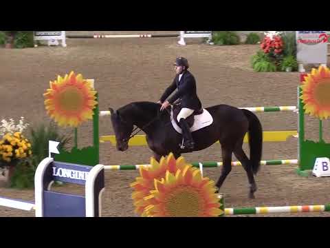 Sonata BF - 2011 mare by Diarado from Sonnengirl BF by Concept