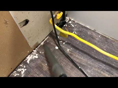 Mice Entering Under the Stove in Freehold, NJ