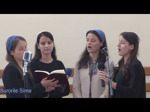 Surorile Sima - Va veni un ceas când iar cocorii