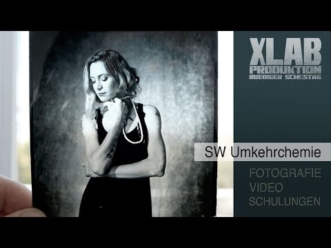 Schwarzweiß Umkehrset (analog)