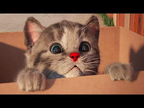 Little Kitten My Favorite Cat - Play Fun Kitten Pet Care Games For Children By Fox & Sheep