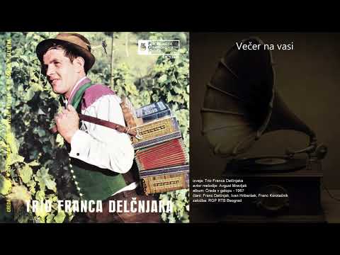 Večer na vasi - Trio Franca Delčnjaka