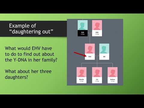 Y-DNA and Genetic Genealogy