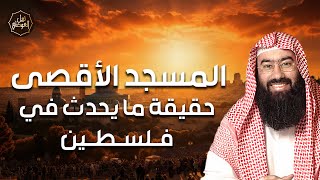 صورة نبيل العوضي | حقيقة ما يحدث في فلسطين وما هي مخططات اليهود؟ | متي نحرر الاقصي؟