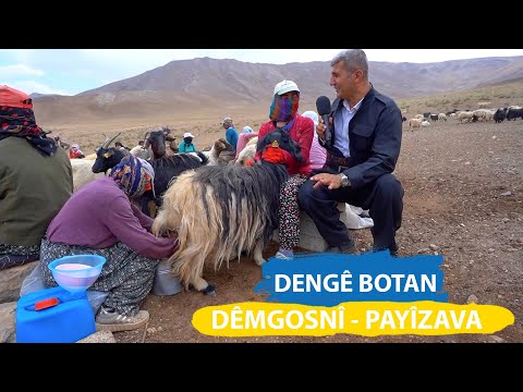 DENGÊ BOTAN - DÊMGOSNÎ / PAYÎZAVA