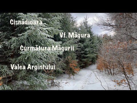 Cisnădioara -Vf. Măgura-Curmătura Măgurii-Valea Argintului