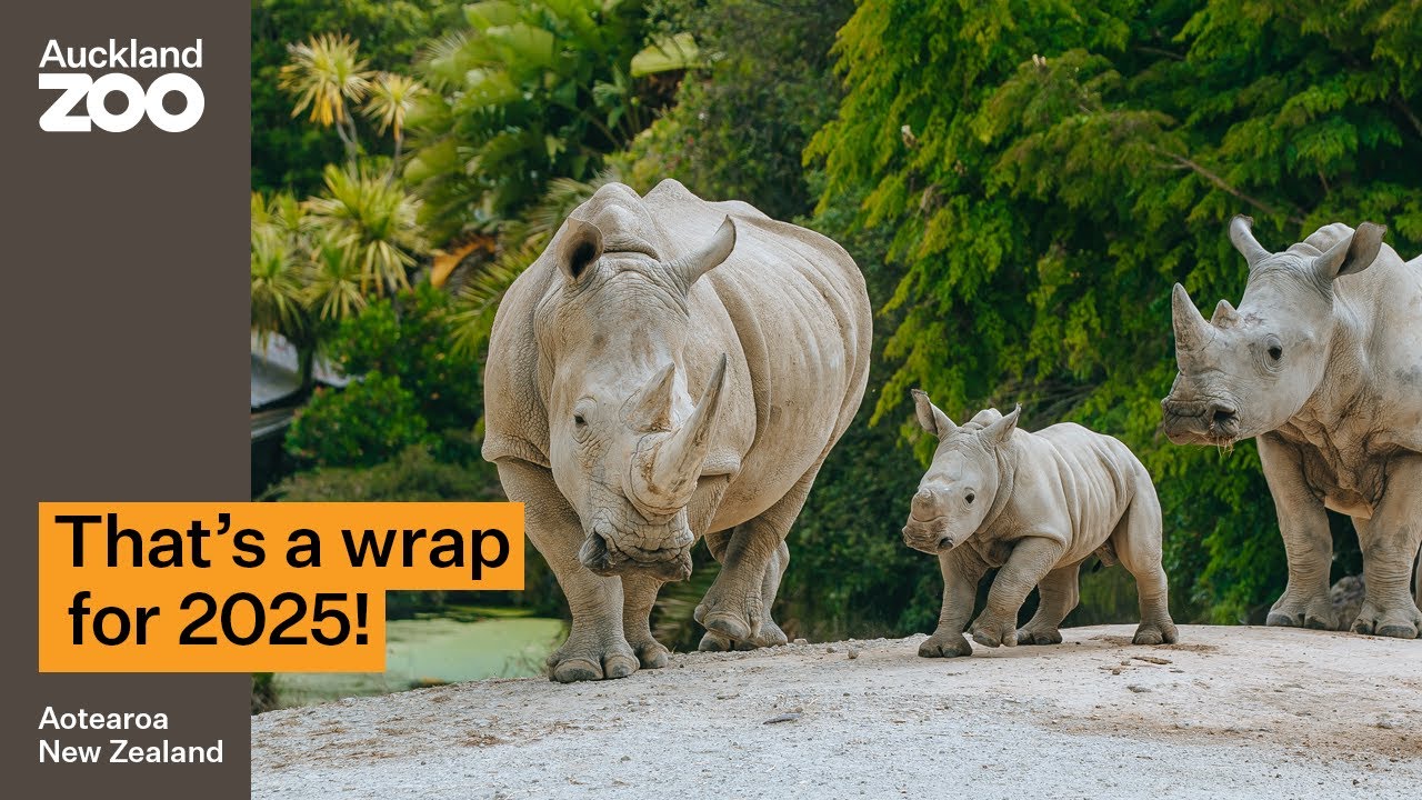 That's a wrap for 2025!