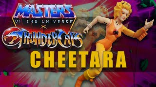 Masters of the Universe X Thundercats Cheetara