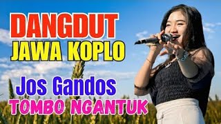 Download lagu 2 JAM DANGDUT JAWA KOPLO JOS GANDOS TOMBO NGANTUK mp3 Download lagu 2 JAM DANGDUT JAWA KOPLO JOS GANDOS TOMBO NGANTUK mp3