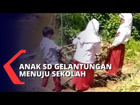 Viral Terkonfirmasi 3 Siswa SD Menyeberang Sungai Pakai Keranjang, Ternyata Begini Ceritanya - Wartakotalive.com