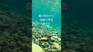 【奇跡の清流銚子川】地元の川が綺麗すぎる！…#紀北町 #銚子川 #奇跡の清流
