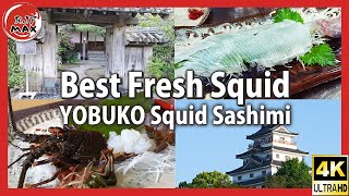 Most Famous Squid Food ＠ Michelin Ryokan @Squid Town Yobuko