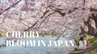 PINK LAKE: watch till the end to see it!