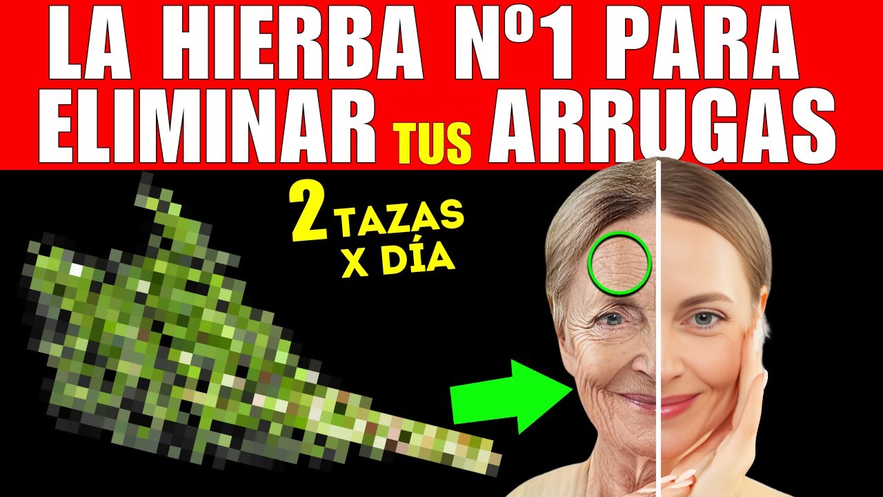 La PLANTA que REVOLUCIONA tu PIEL, HUESOS y CIRCULACIÓN (CÓMO TOMARLA)