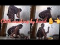 Washing Clothes By Indian Housewife Indian Housewife Cloth Washing Without Washing Machine