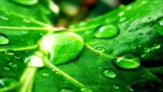 Adrian Gurvitz - Classic { w/lyrics }