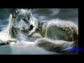 Wolf Dream