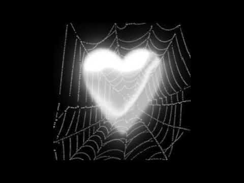 [FREE] capoxxo x sglilyy Type Beat ~ heartcore (Prod. odece x shinju)