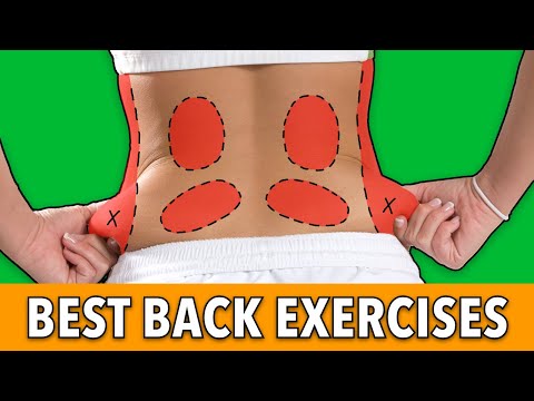 Best Exercises To Help Lower Back Pain