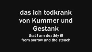 Rammstein - Klavier (With lyrics and English translations)