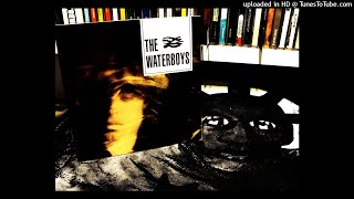 The Waterboys - ready for the monkeyhouse