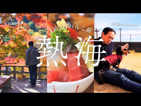 YouTube動画を再生
