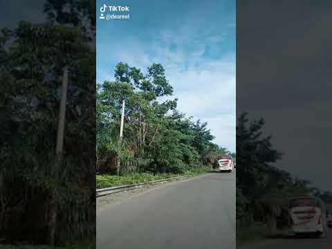 MPM Mania...Mutia Putri Mulia