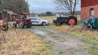 International MC CORMICK IH B 275 mini tractor | Image 4 - Agroline
